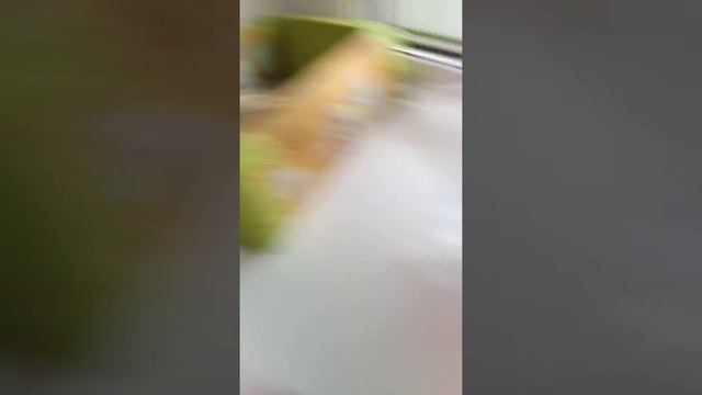 фиалки смотреть онлайн