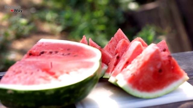 Лучшие подкормки арбузов для супер урожая! Борная кислота для увеличения завязи!