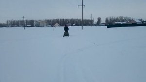 Снегоход Лайка 2м