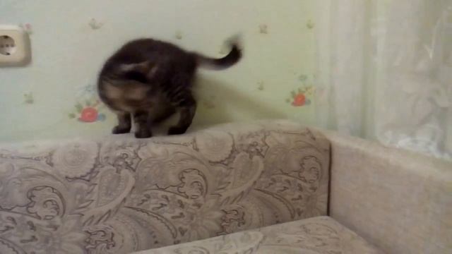 Покой нам только снится ))) смотреть онлайн