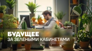 Почему «Зеленые кабинеты» набирают популярность среди российских офисных работников