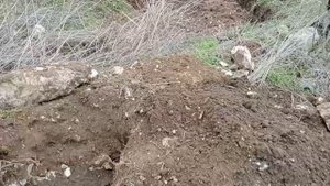 Шурф фундамента и зачётные находки ?.