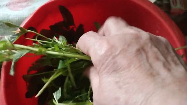 Ферментированный чай из мяты и садовых растений
