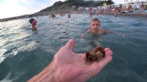 Дагомыс. Самый честный обзор. Море, пляж, жильё, цены. (Папа Может)