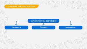 Пищевые цепи в экосистеме