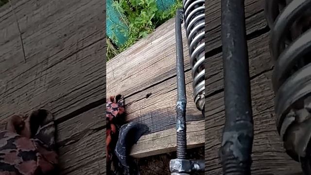 Съёмник для амортизатора мотоцикл Минск восход. смотреть онлайн