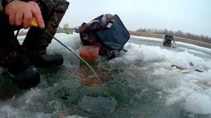 Зимняя рыбалка. Ловля леща и крупного карася зимой