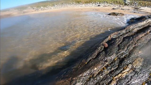 штормовой выброс морепродуктов