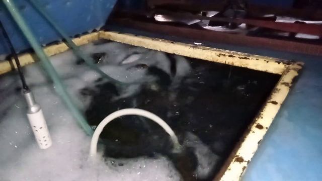 Вот такая вот необыкновенная доставка форели нашему постоянному клиенту! смотреть онлайн