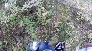 Собираем грибы в Кисловодске.