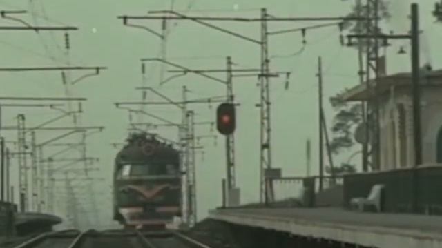 Суперхит нашей юности. Звучала в каждом дворе. ТОПОЛЯ,ТОПОЛЯ.. ВСЕ В ПУХУ.