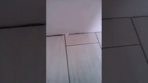 Укладка длинной плитки на пол в кухне, коридоре и ванной без порогов