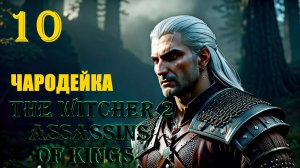 ВЕДЬМАК И ЧАРОДЕЙКА - THE WITCHER 2 ASSASSINS OF KINGS - ПРОХОЖДЕНИЕ НА 100 ПРОЦЕНТОВ #10