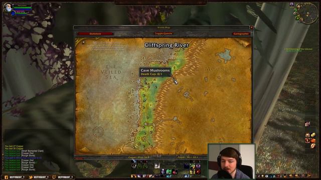 Lets Play World of Warcraft Classic - Episode 5: Last Quests in Darkshore смотреть онлайн