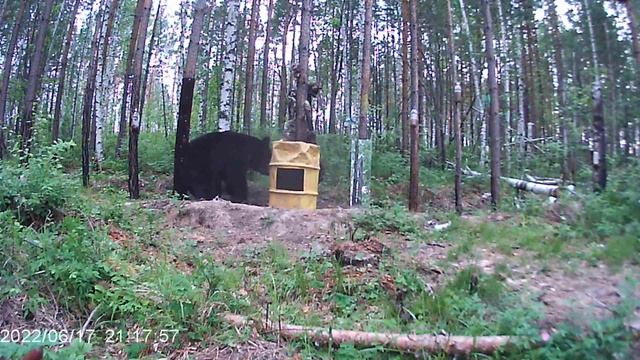 I made a comb for a bear. Сделал чесалку для медведя. смотреть онлайн