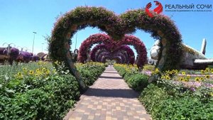 Dubai Miracle Garden. Парк цветов в Дубае. Большой обзор. ДУБАЙ