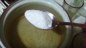 Маринованные вешенки на зиму