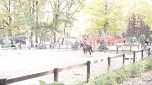 СТАЛ НЕУЗНАВАЕМЫМ! Как сложилась судьба известного актера Александра Дьяченко?