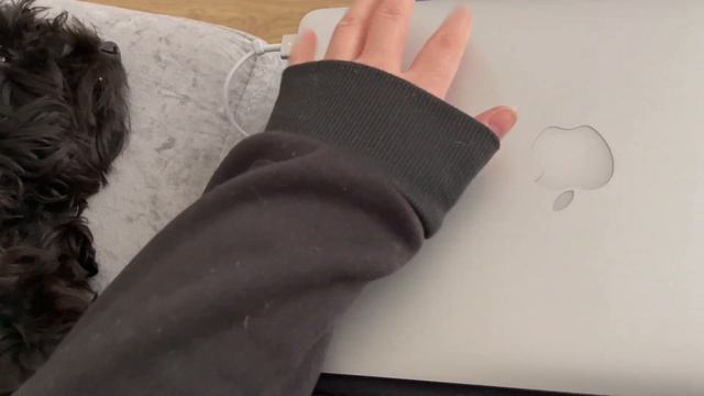 Macbook ASMR Ft. CUTE PUPPY смотреть онлайн