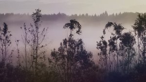 Разлилась речка быстрая