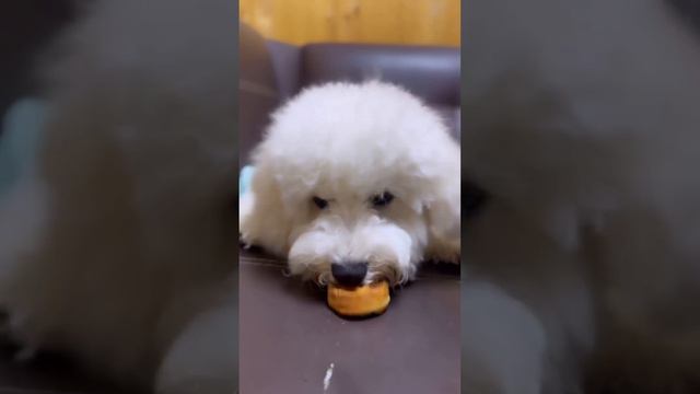 Когда не веришь своему счастью ❤️