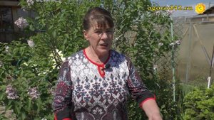 Где лучше хранить зимой нимфеи?