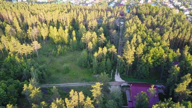 База семейного отдыха "Лесная гавань" смотреть онлайн