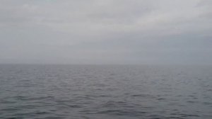 Рыбалка на реке Чеснава рыбинское водохранилище