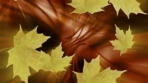 ФУТАЖ Кленовые листья - FOOTAGE Maple leaves