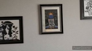 Все оформленные вышитые картины у нас в доме ✄ Вышивка крестом , бисером, алмазка