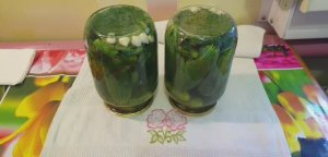 Сквозняк в теплице / Маринад для огурцов 1 способ