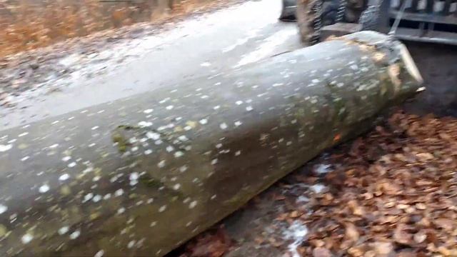 Hrubý buk 8,50m³ s Orvex LT 100 Working in forest ?? смотреть онлайн