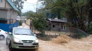 Сочи. Хоста. Потоп. 04.10.2021 г. Ручей Видный. Часть 5