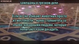 К чему снится Убийство сонник, толкование сна