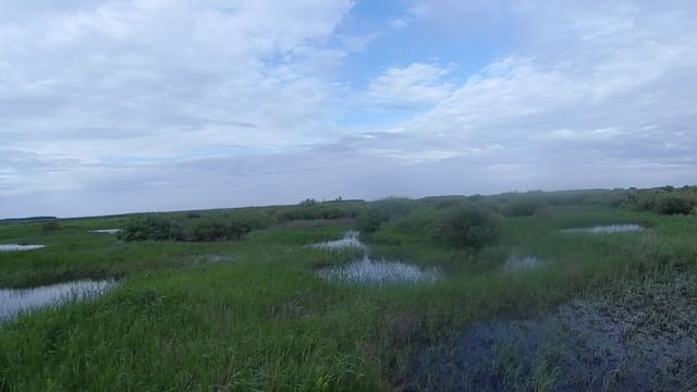 Керге куктун аул в Таврическом районе Омской области/Kerge kuktun aul in the Omsk region