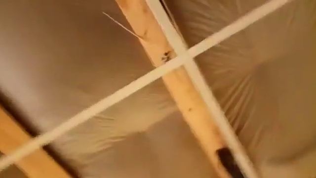 WhatsApp Video 2019 07 01 at 22 46 55 смотреть онлайн