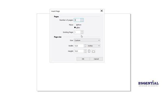 Working with Page Layout | Page Setting | CorelDraw 2019 | Lesson No 5 | Urdu/Hindi смотреть онлайн