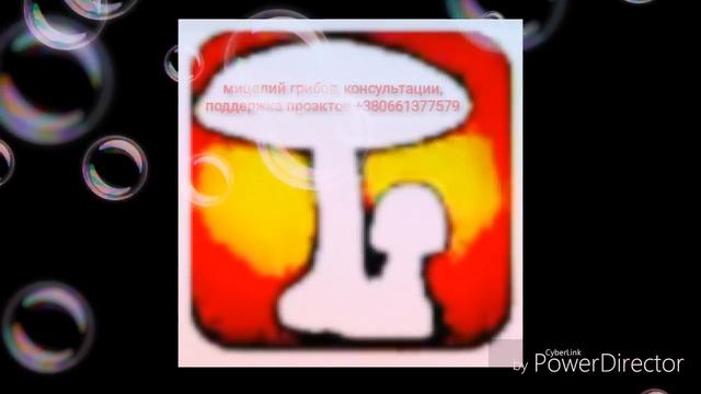 вешенка, кое что о корпоративной дипломатии funnymushroomschool, fms#813 смотреть онлайн