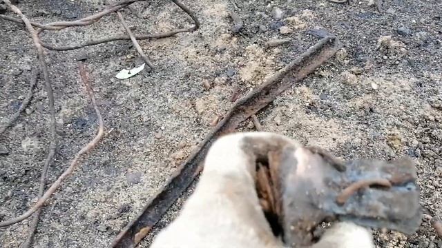 Металлокоп с кувалдой. Добыча арматуры из плит перекрытия.