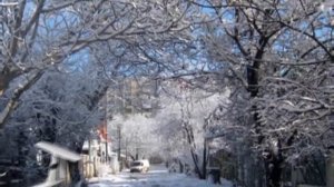 ЕЛЕНА РЕШЕТНЯК    ГОРОДА