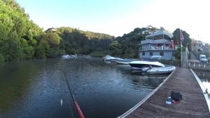 Pesca de Lucioperca no rio Douro