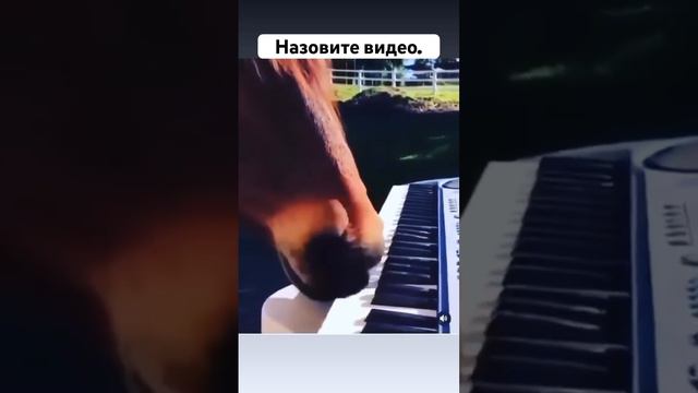 Дайте название этому музыкальному видео. Name this music video.