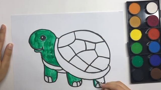 Renkli boyama Как нарисовать черепаху? rasmini chizish смотреть онлайн