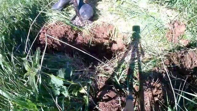 Коп металлолома.Второй год возим металл с этой фермы. смотреть онлайн