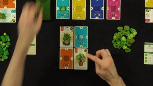 Обзор настольной игры Зеленый дом
