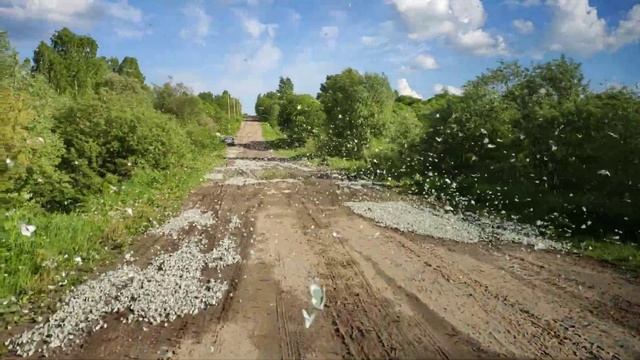 нашествие бабочек в ТОМСКЕ смотреть онлайн
