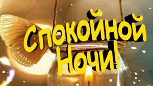Спокойной ночи и самых прекрасных сладких снов!