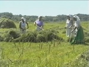 Историческая рубрика. Урюпинский район