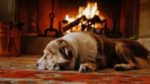 Уютная гостиная. Звуки камина. Треск дров. 4 часа