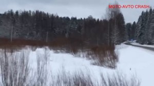 Лось пешеход в РОССИИ | ELK pedestrian in RUSSIA